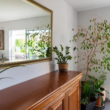 Bungalow Confortable Avec Piscine Vakantiehuis Coursac